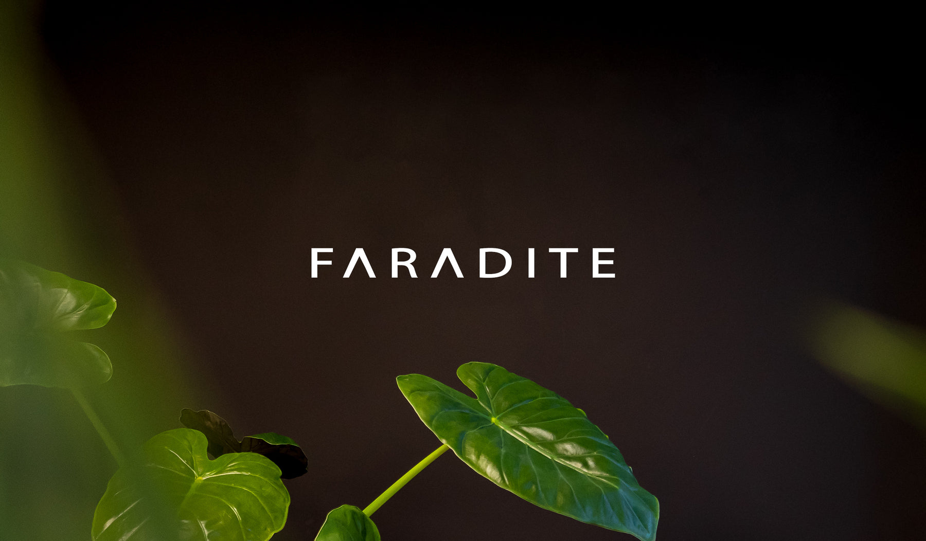 Faradite logo on a black wall with plants